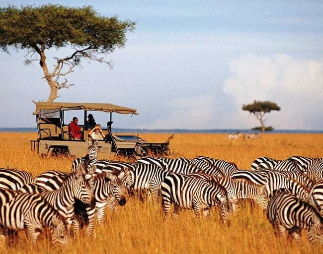 Kenya Safari Masai Mara