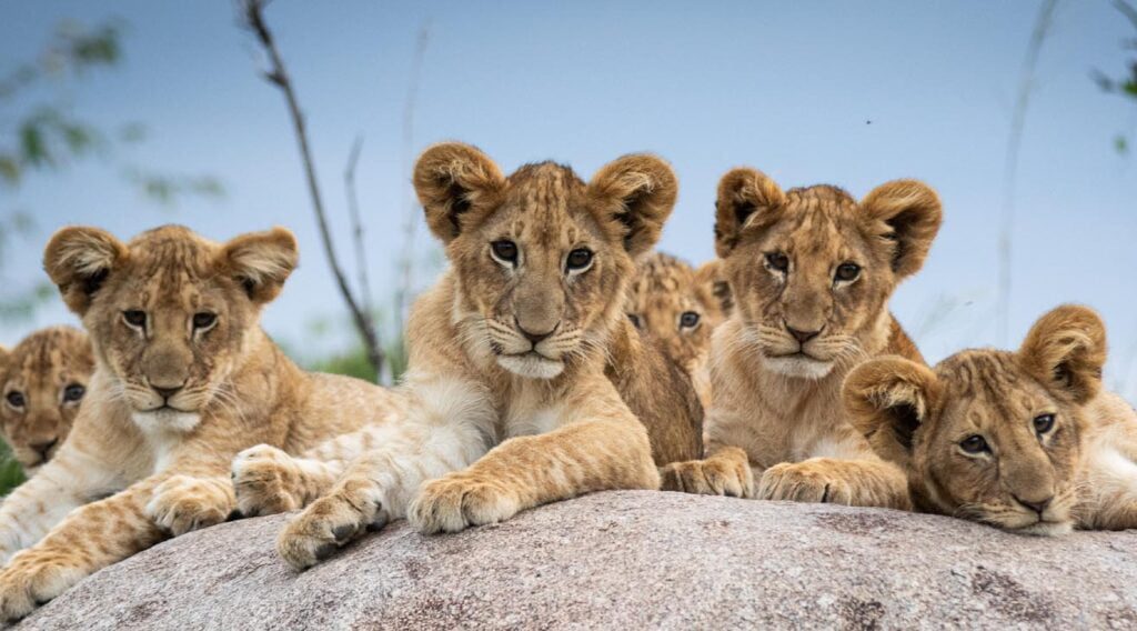 Tanzania si Zanzibar cu  Holiday Tour Mures