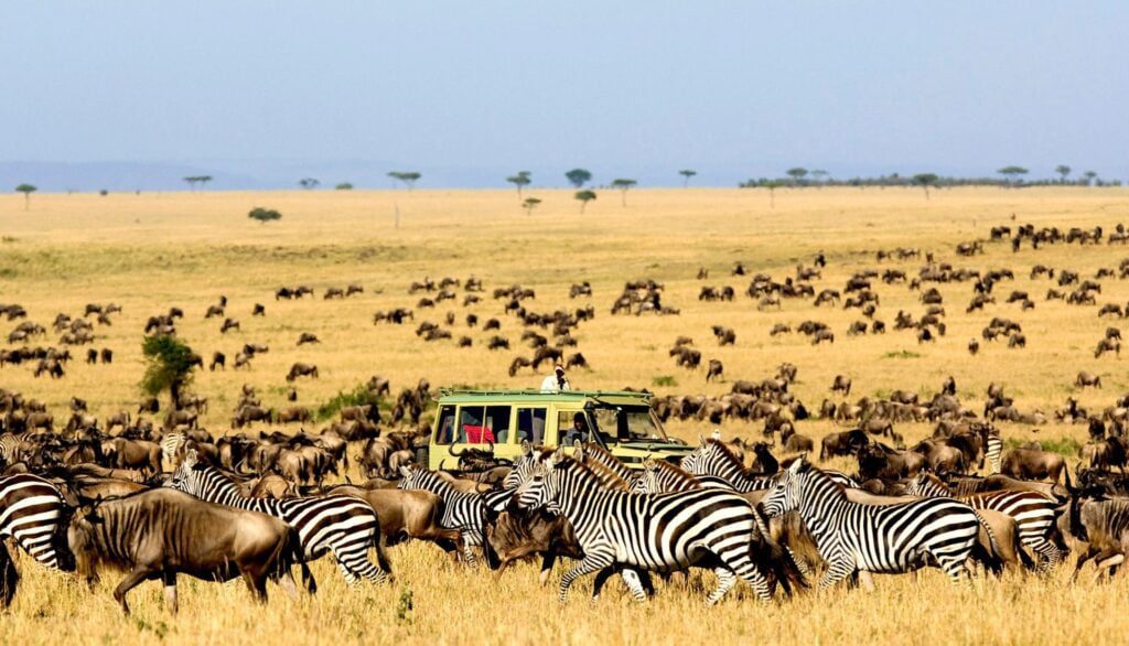 Kenya – Inima salbatica a Africii: Vacanta Exotica cu Safari si Plaja All Inclusive