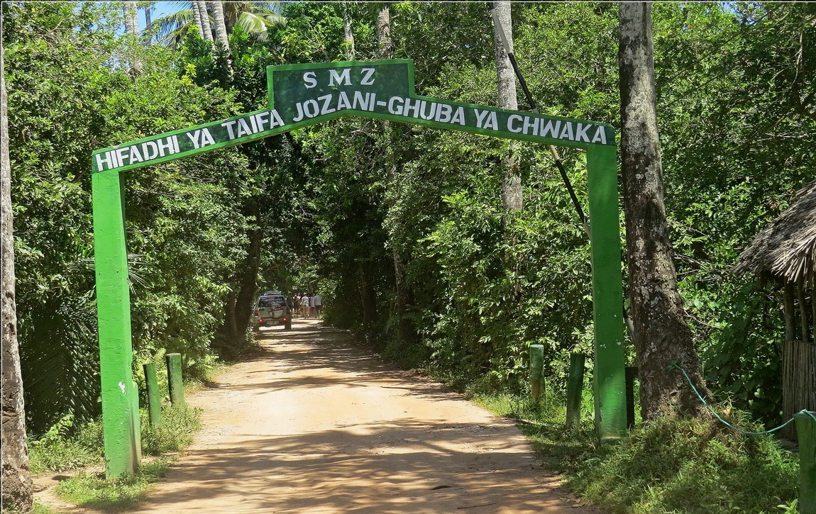 Sejur Zanzibar "Insula Mirodenilor" 5 sept 2024