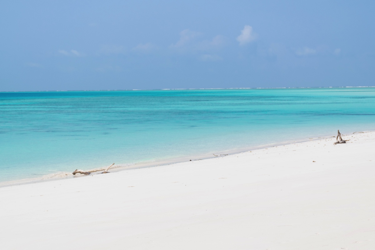 Sejur Zanzibar "Insula Mirodeniilor" 5-17 sept 2024
