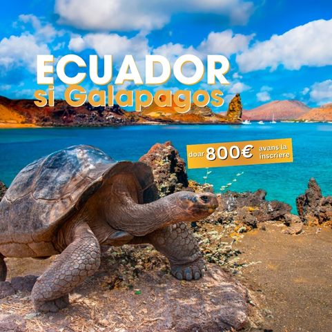 Circuit ECUADOR + GALAPAGOS: Un Paradis Vulcanic 22 Martie - 6 Aprilie 2026