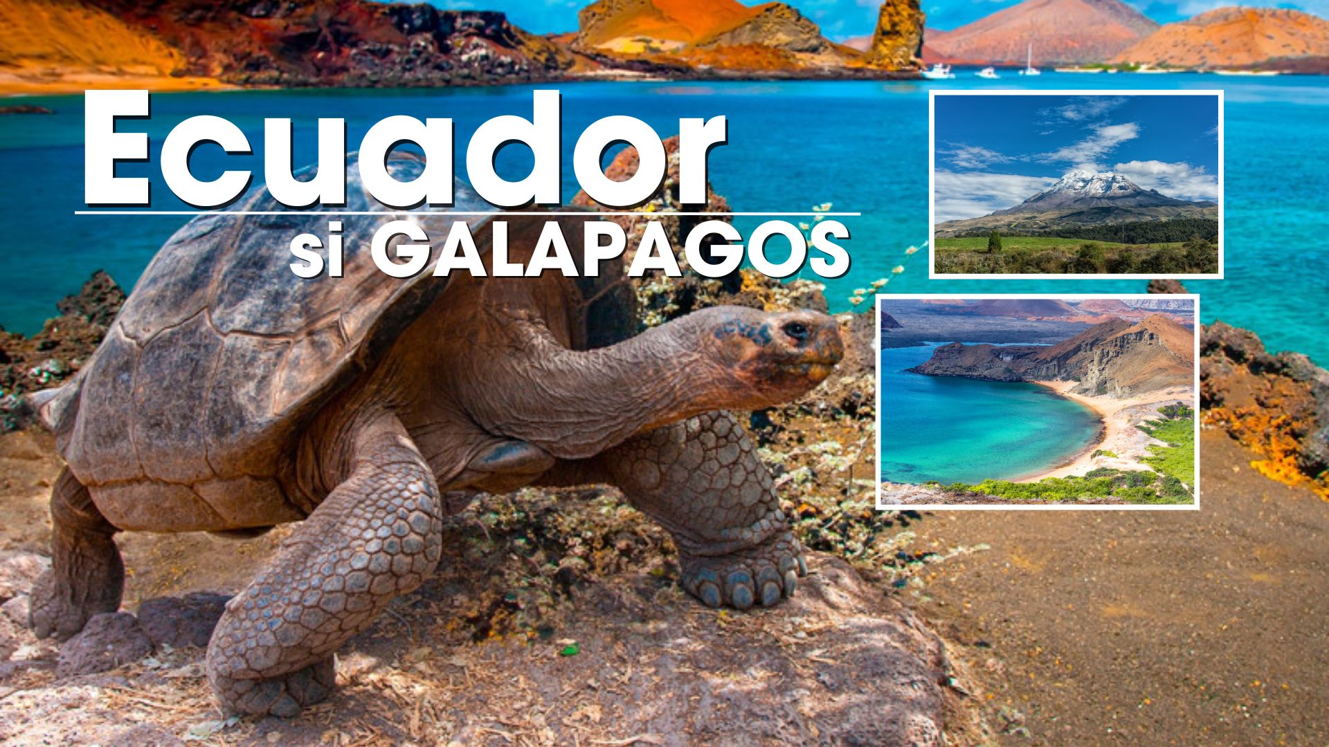 Circuit ECUADOR + GALAPAGOS: Un Paradis Vulcanic 22 Martie - 6 Aprilie 2026