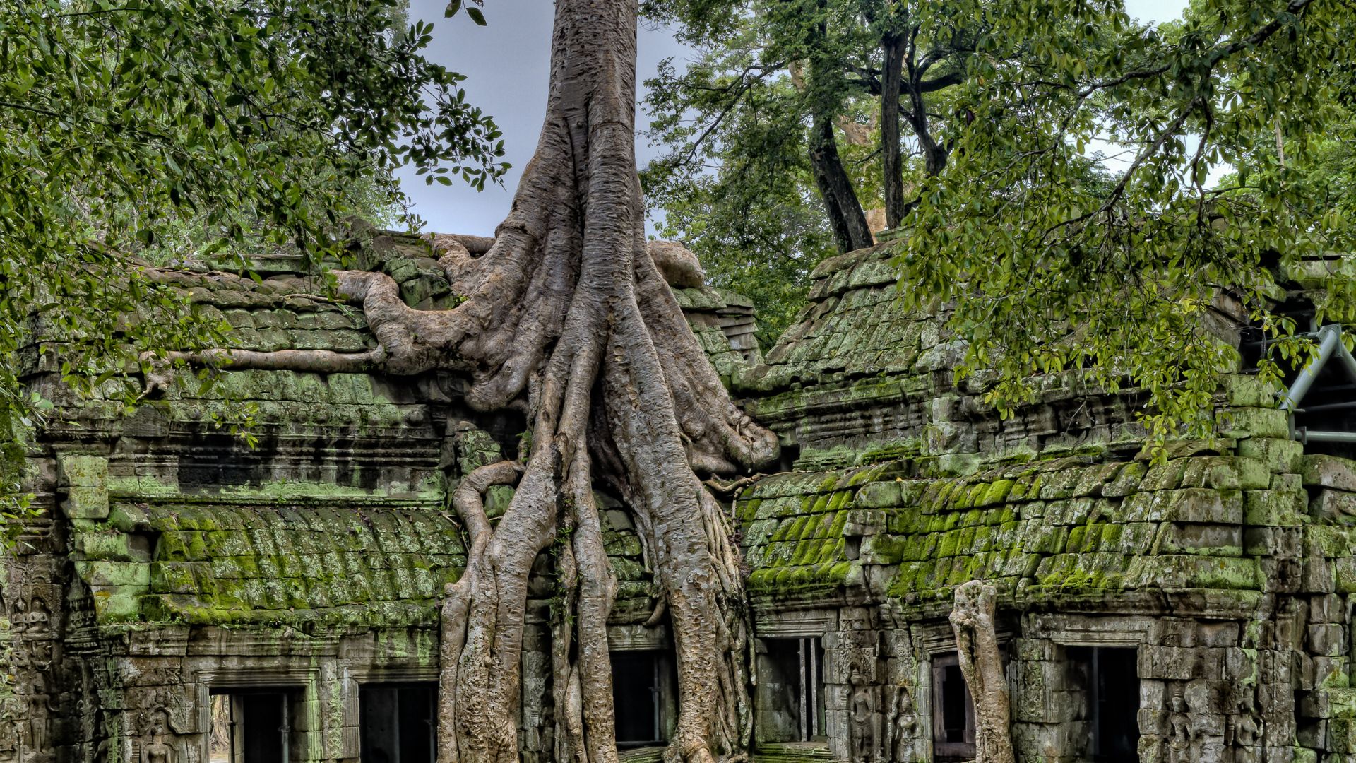 Circuit INDOCHINA: Vietnam Cambodgia Laos si Thailanda 17 Noiembrie – 5 Decembrie 2026