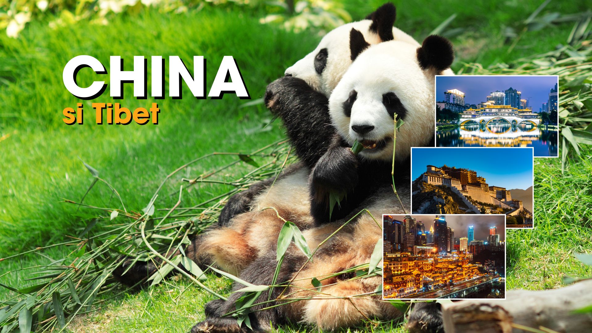 Circuit CHINA – TIBET: Calatorie cu Trenul Transtibetan 08 - 21 Iunie 2026