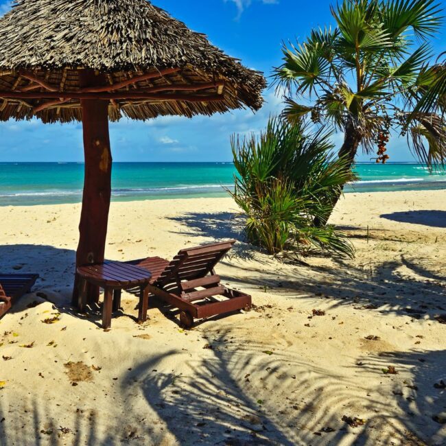 Circuit KENYA: Safari si relaxare pe plaja 08-19 August 2026