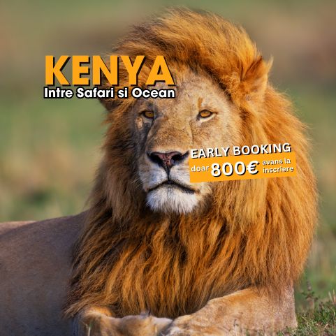 Circuit KENYA: Safari si relaxare pe plaja 08-19 August 2026