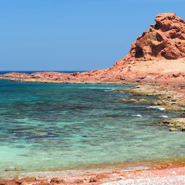 Circuit SOCOTRA: Experienta dincolo de cuvinte 17 - 26 Martie 2026