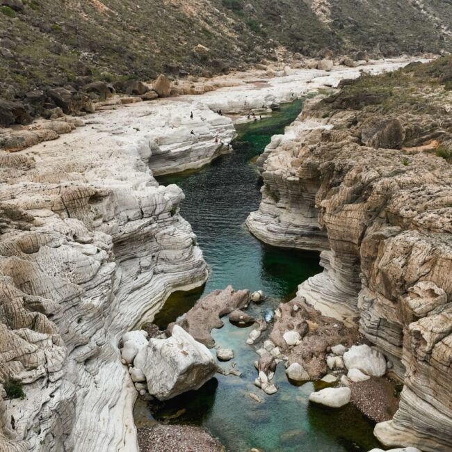 Circuit SOCOTRA: Experienta dincolo de cuvinte 17 - 26 Martie 2026