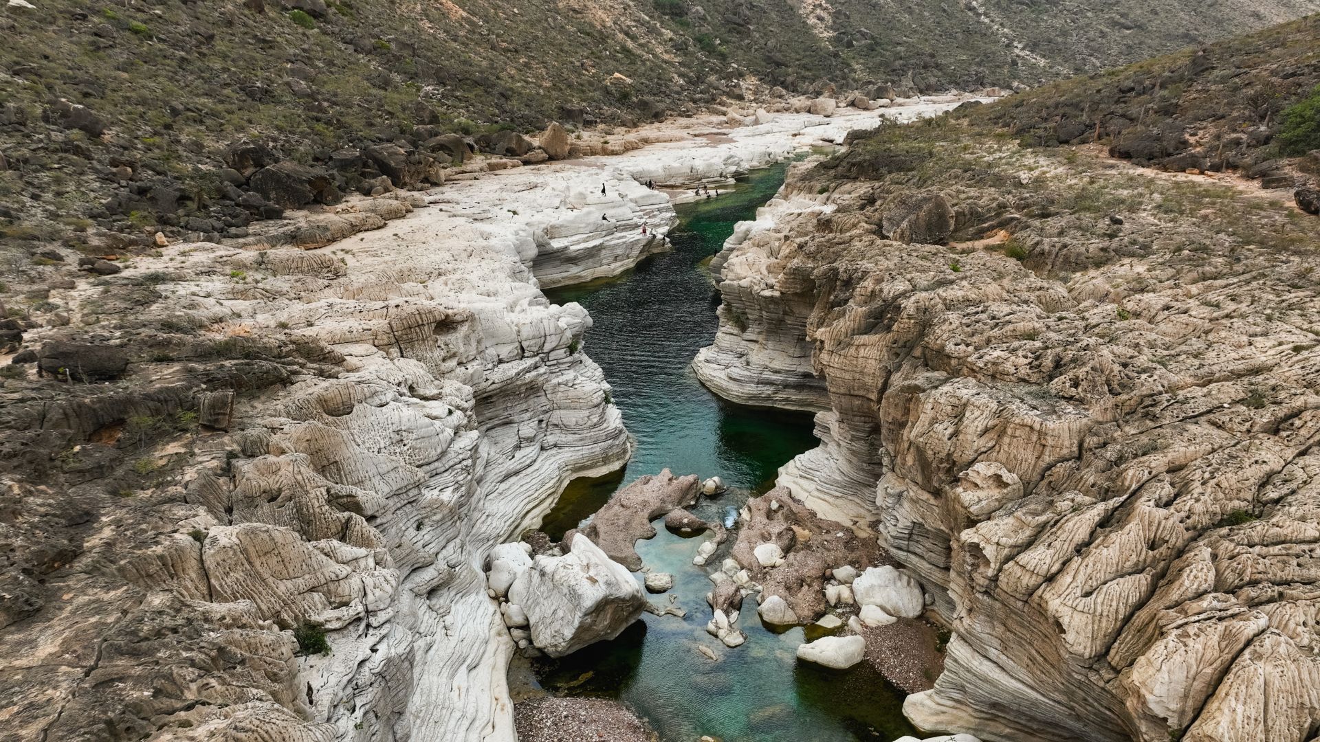 Circuit SOCOTRA: Experienta dincolo de cuvinte 17 - 26 Martie 2026