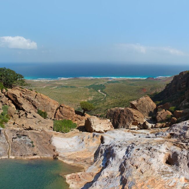 Circuit SOCOTRA: Experienta dincolo de cuvinte 17 - 26 Martie 2026