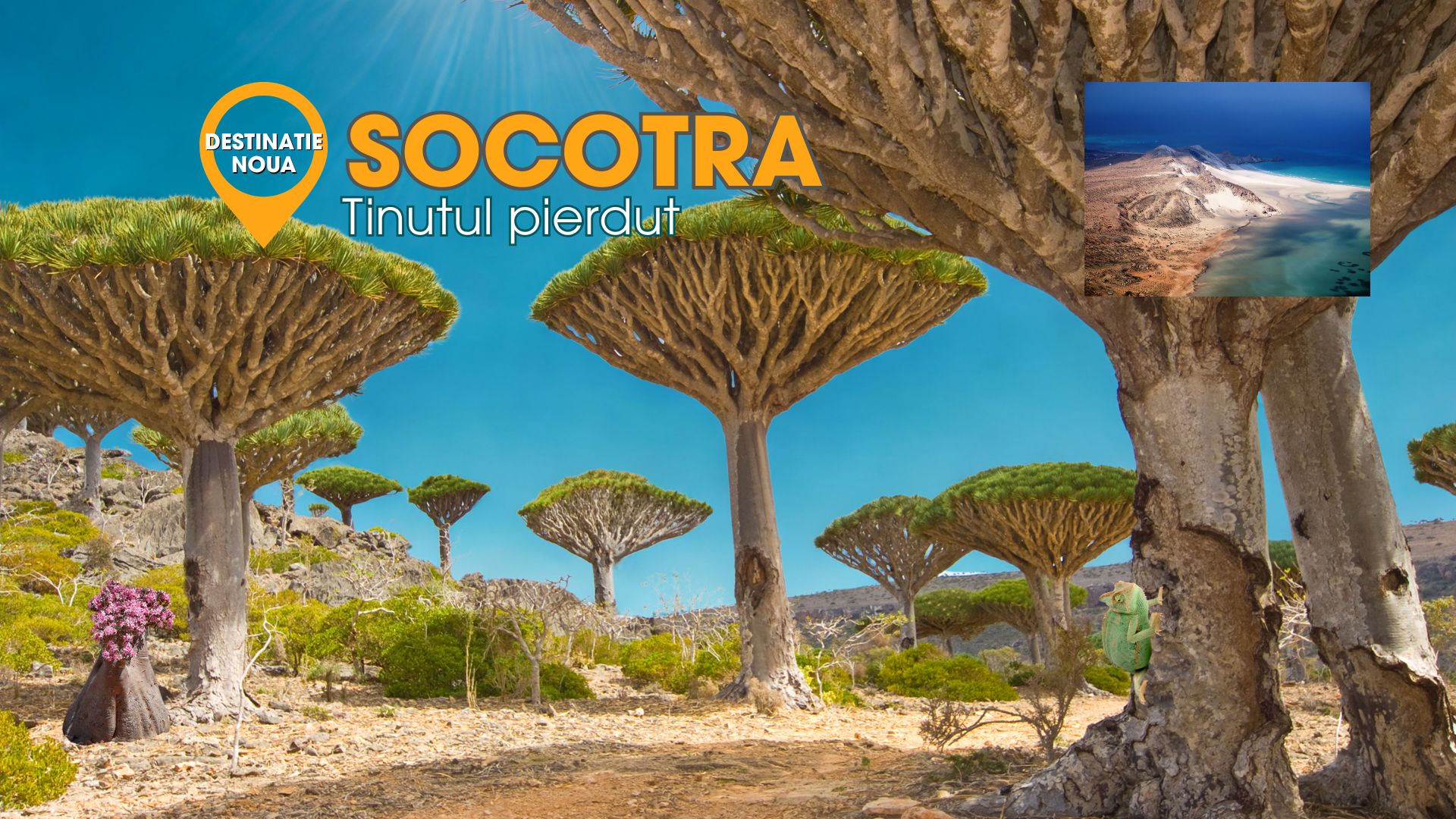 Circuit SOCOTRA: Experienta dincolo de cuvinte 17 - 26 Martie 2026