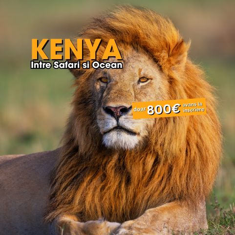 Circuit KENYA: Safari si relaxare pe plaja 10-21 August 2026