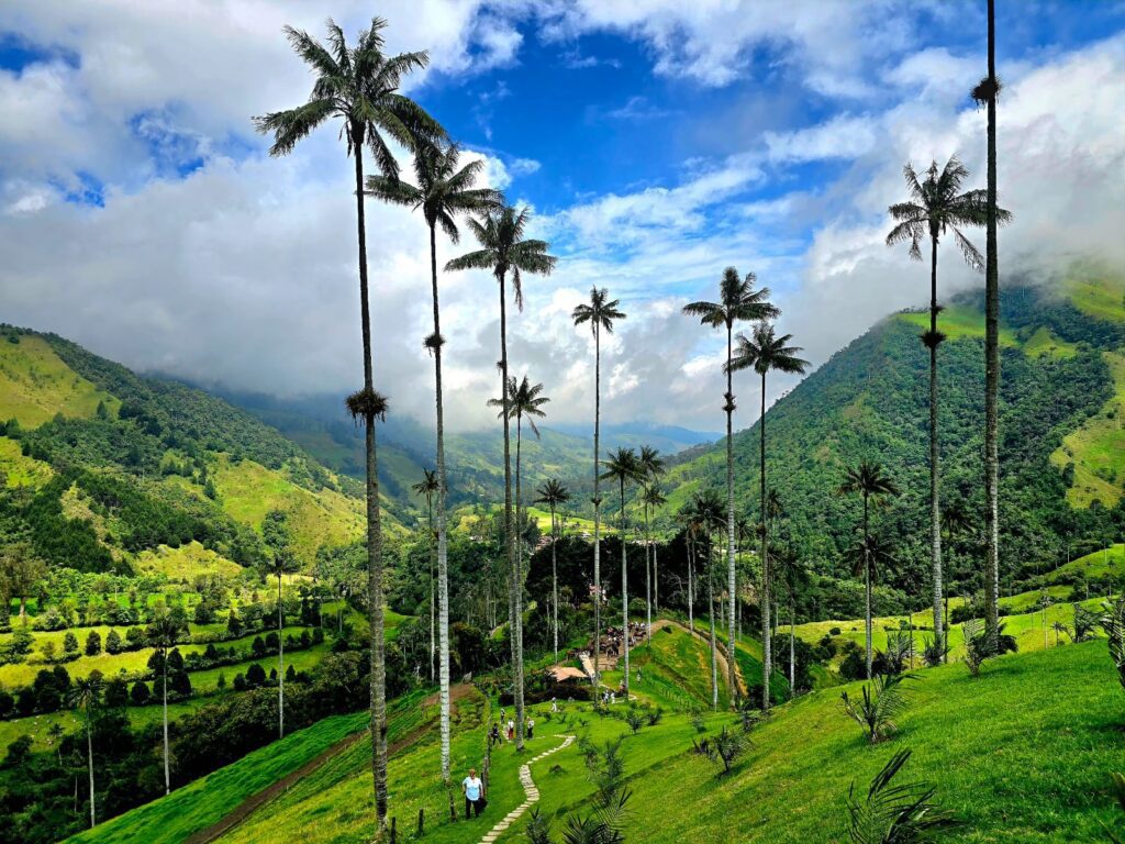 Columbia - Aventura completa in "Tara Cafelei"