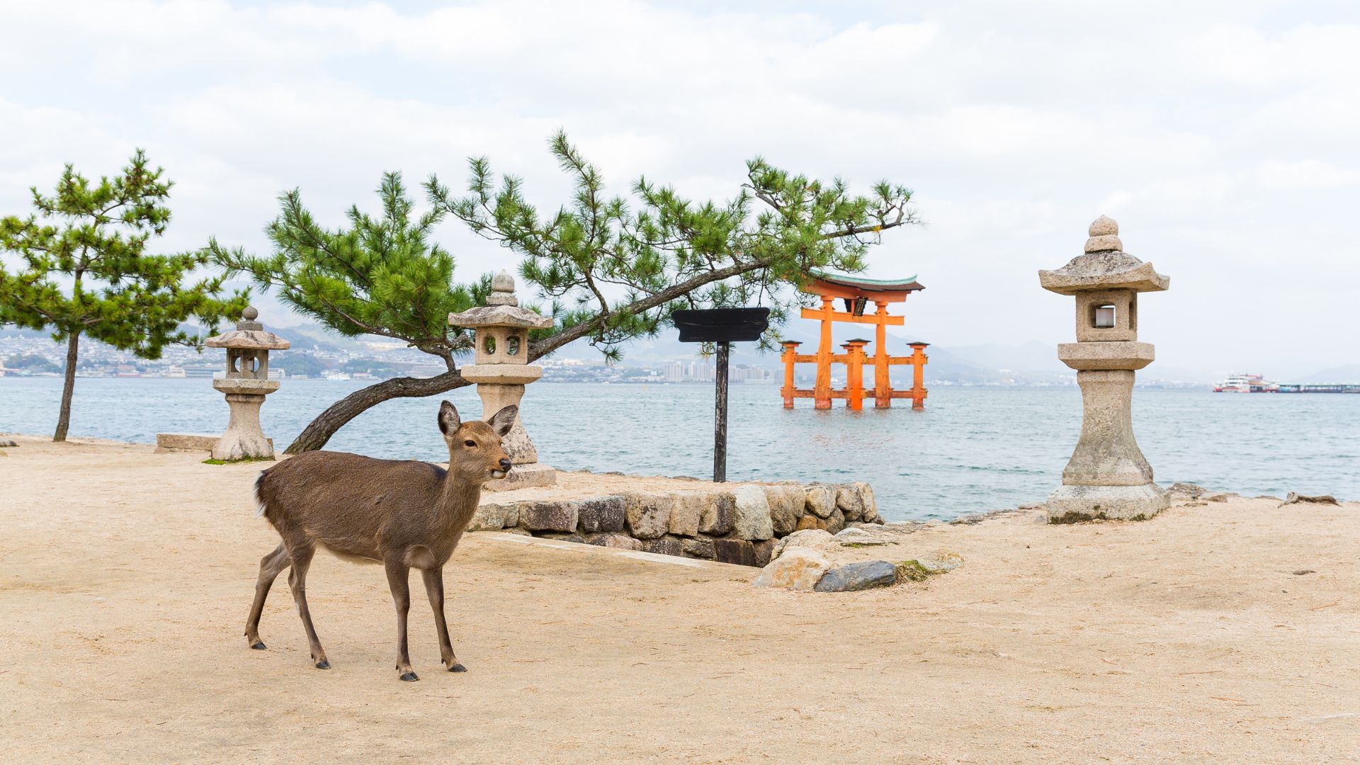 Circuit Japonia: Culorile Toamnei 30 Octombrie - 11 Noiembrie 2026