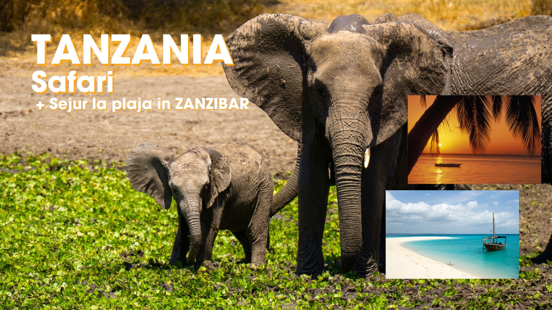 Circuit Tanzania: Safari African si Relaxare in Zanzibar 20 Iunie - 1 Iulie 2026