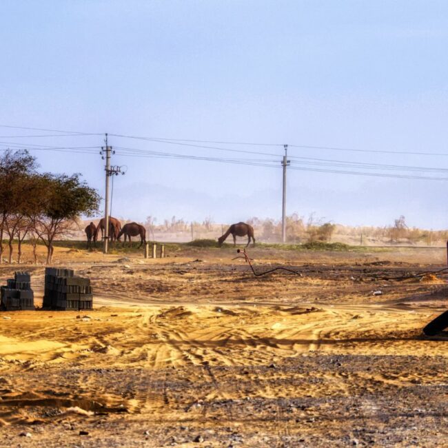 Circuit 5 Stanuri: 12 Septembrie - 28 Septembrie 2026