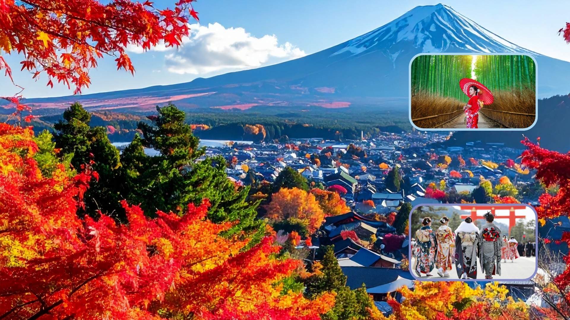 Circuit JAPONIA: Culorile Toamnei