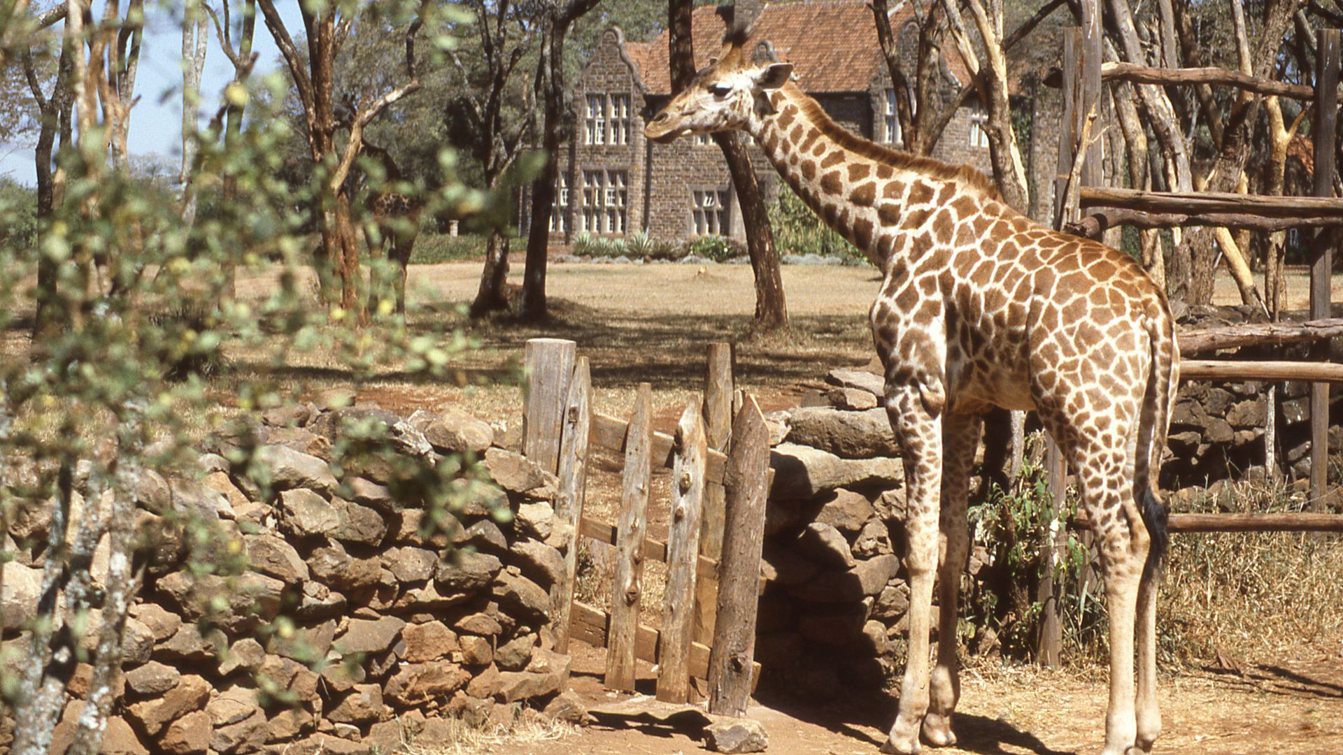 Circuit KENYA: Safari si relaxare pe plaja 27 Octombrie - 07 Noiembrie 2026