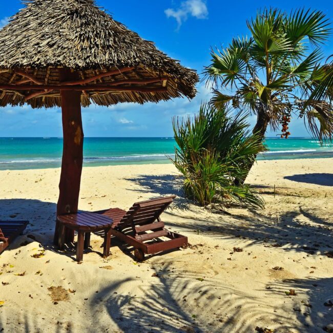 Circuit KENYA: Safari si relaxare pe plaja 10-21 August 2026