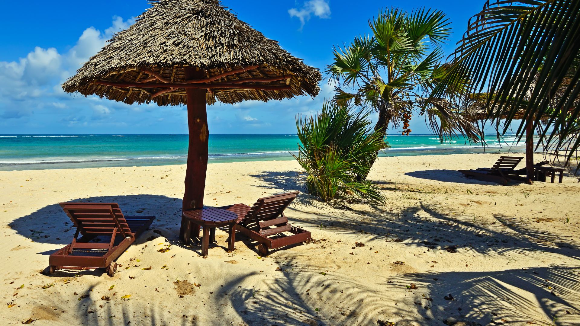 Circuit KENYA: Safari si relaxare pe plaja 10-21 August 2026