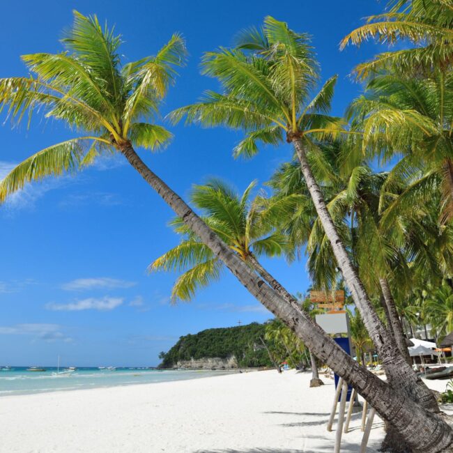 Sejur FILIPINE: Vacanta Exotica in Boracay 08 Februarie - 19 Februarie 2026