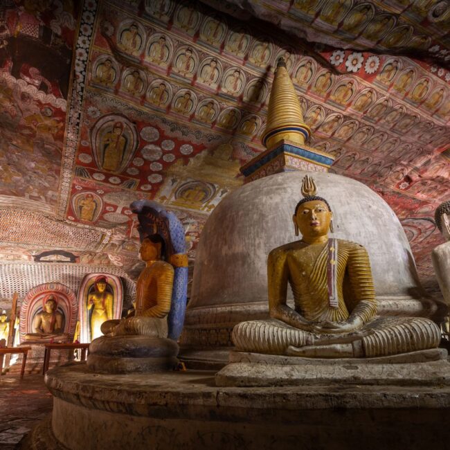 Circuit SRI LANKA & MALDIVE: Traditii sacre si paradis tropical 21 Noiembrie - 03 Decembrie 2026