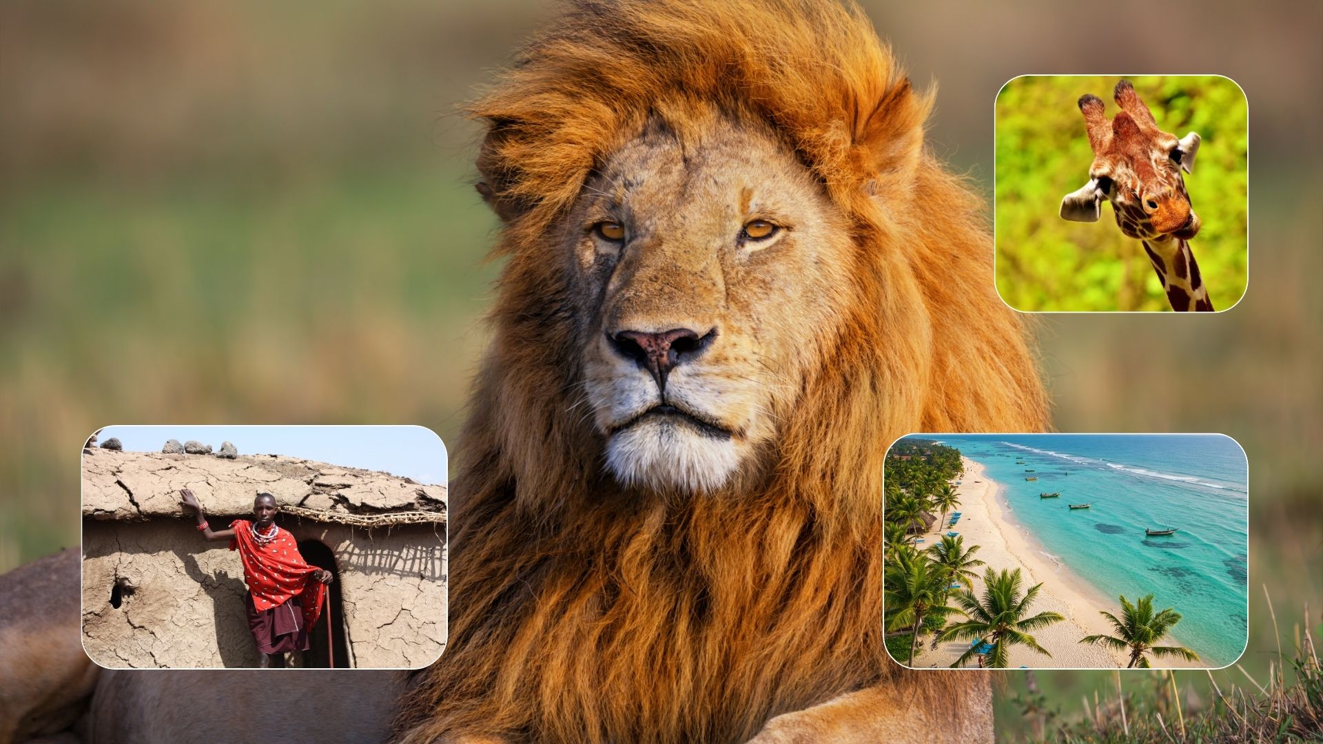 Imagine de prezentare pentru Circuit KENYA: Safari și relaxare pe plajă
