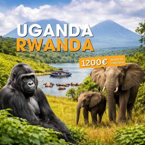 Circuit UGANDA si RWANDA: Aventura in inima Africii de Est 28 Noiembrie-12 Decembrie 2026