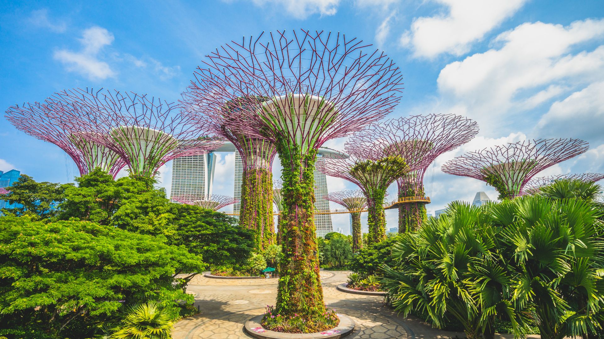 Singapore si Filipine cu insotitor de grup Circuit SINGAPORE si FILIPINE: Aventura Asiatica 14 - 27 Noiembrie 2026