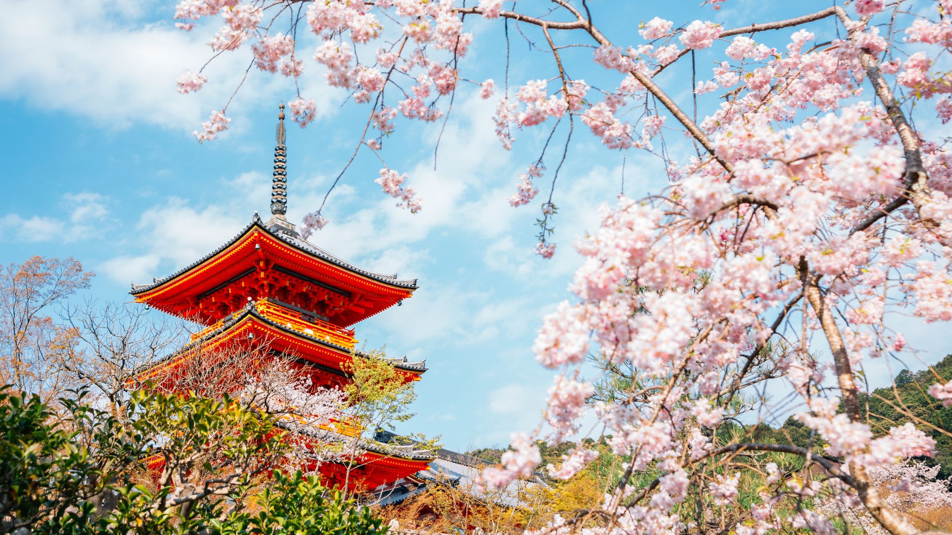 Circuit JAPONIA si COREEA DE SUD: Sub Petale de Sakura 04 Aprilie-18 Aprilie 2027