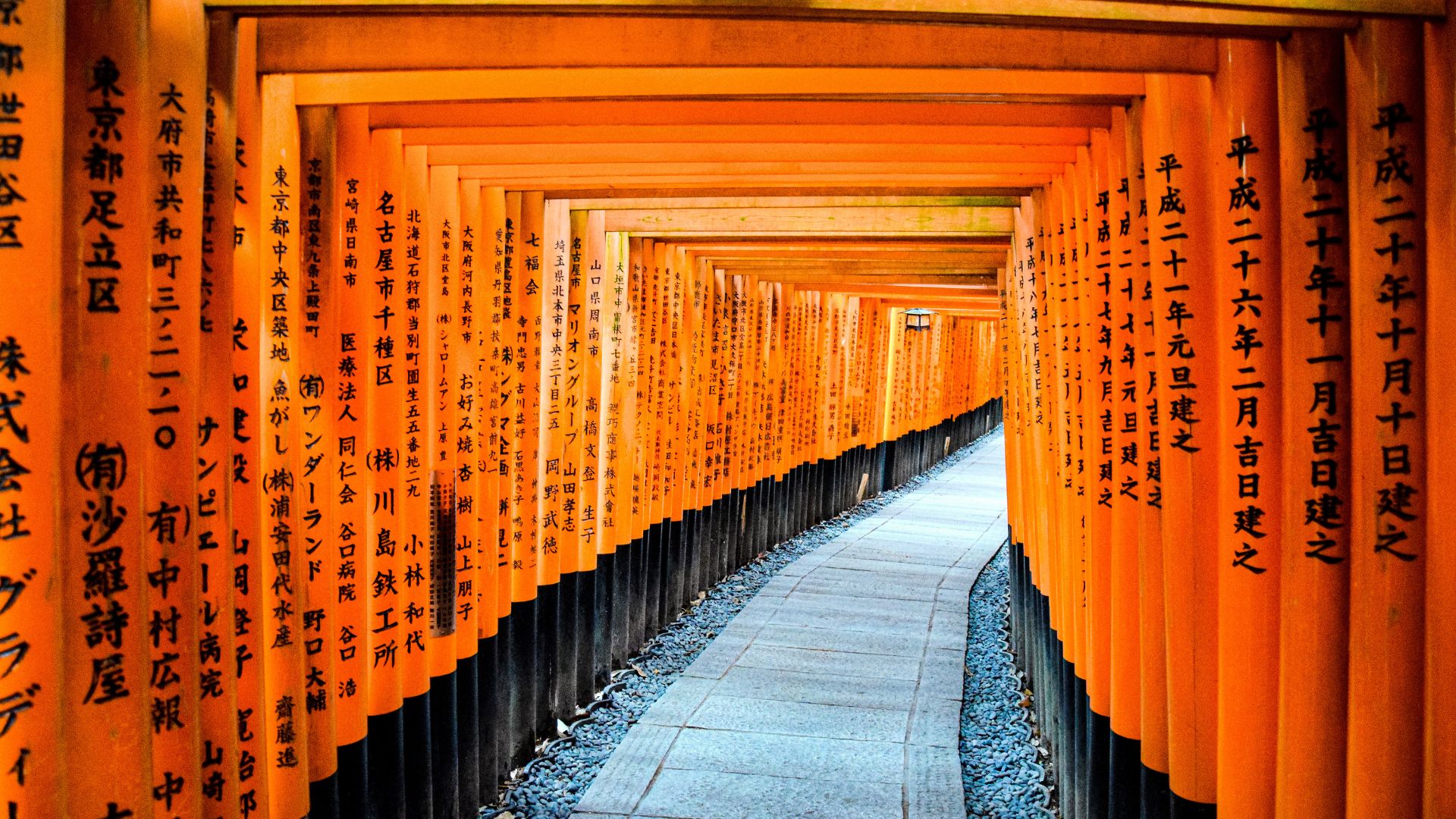 Circuit JAPONIA si COREEA DE SUD: Sub Petale de Sakura 04 Aprilie-18 Aprilie 2027