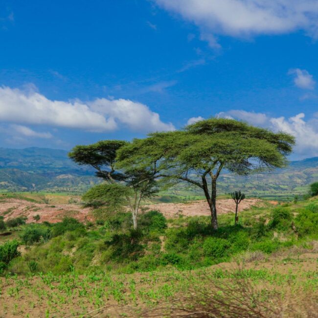 Circuit ETIOPIA: Istorie Sacra si Triburi Ancestrale 06-18 Martie 2027