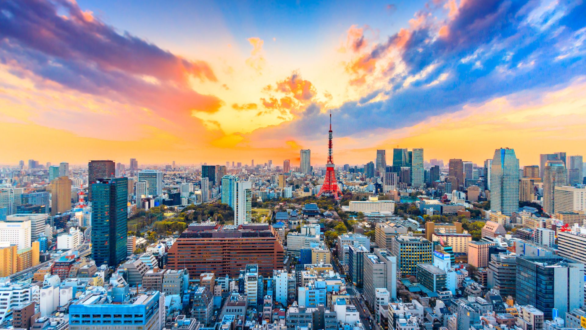 Japonia cu insotior de grup Circuit JAPONIA: Primavara Japoneza 04 - 16 Aprilie 2027