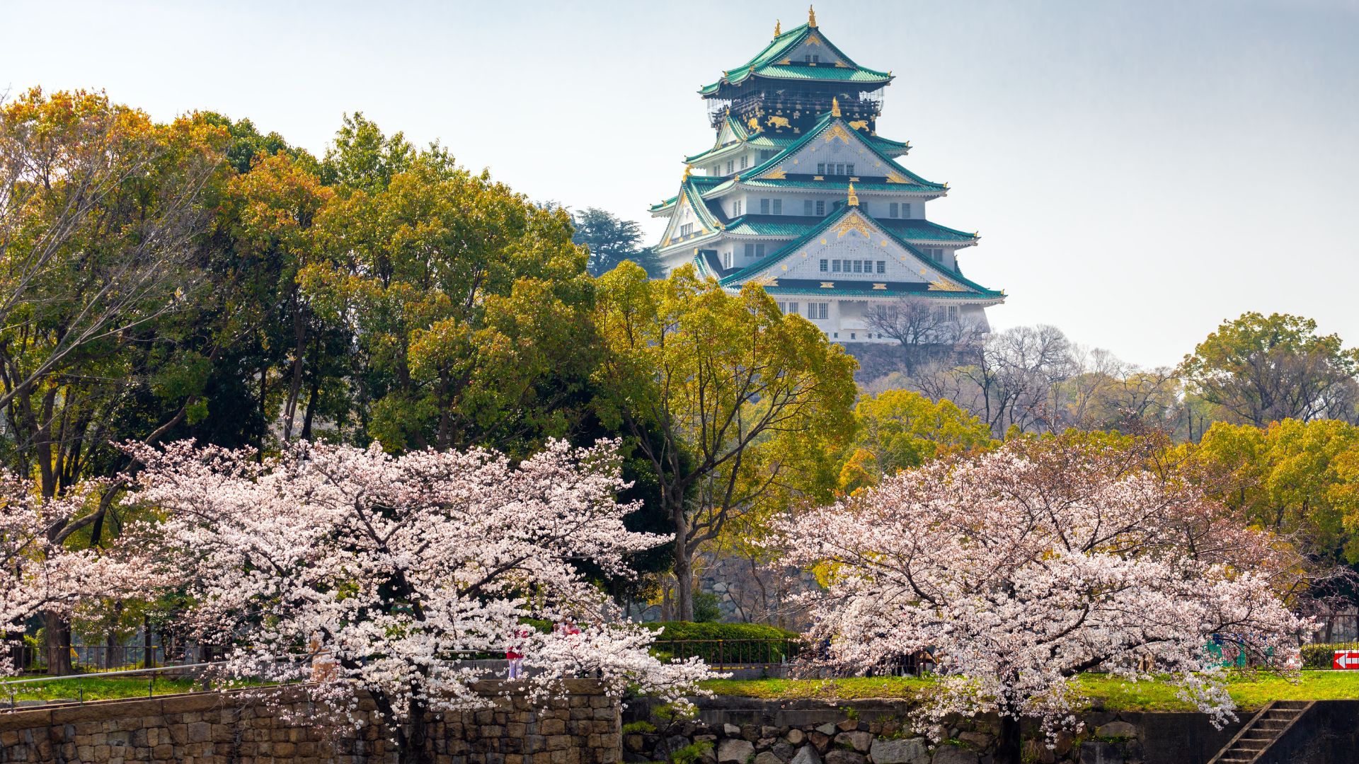 Japonia cu insotior de grup Circuit JAPONIA: Primavara Japoneza 04 - 16 Aprilie 2027