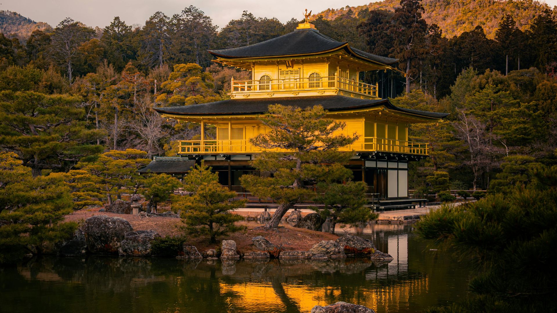 Japonia cu insotior de grup Circuit JAPONIA: Primavara Japoneza 04 - 16 Aprilie 2027