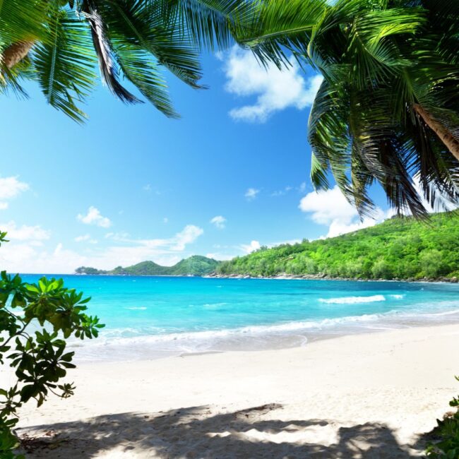Circuit SEYCHELLES: Eden Tropical 11 - 21 Februarie 2027