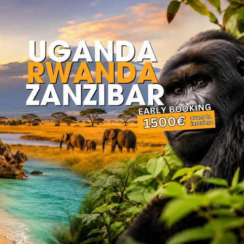 Circuit UGANDA, RWANDA si ZANZIBAR: Aventura in inima Africii 13 - 27 Februarie 2027
