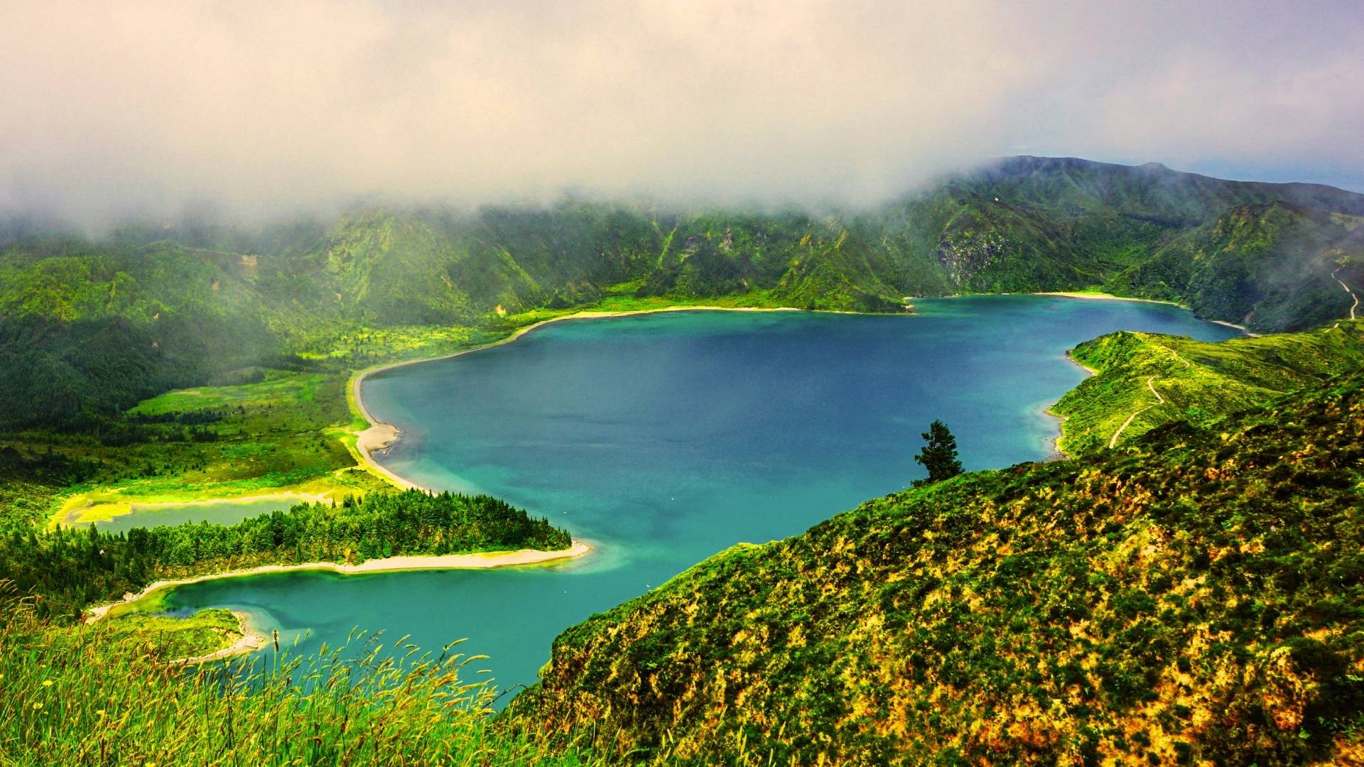 Imagine de prezentare pentru Circuit AZORE: Insula Sao Miguel Hawaii-ul Europei