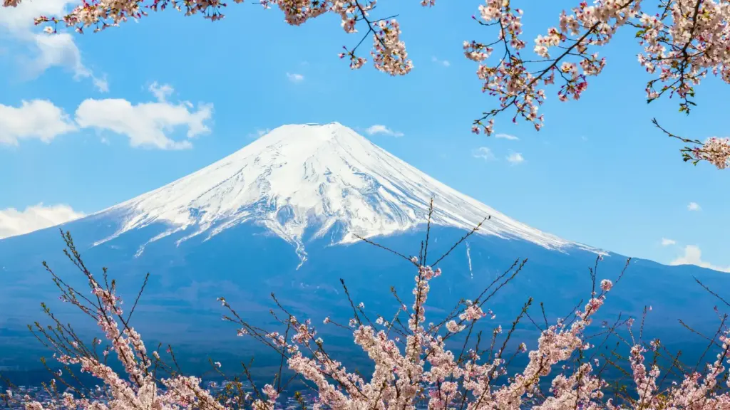 Circuit JAPONIA si COREEA DE SUD: Sub Petale de Sakura 04 Aprilie-18 Aprilie 2027