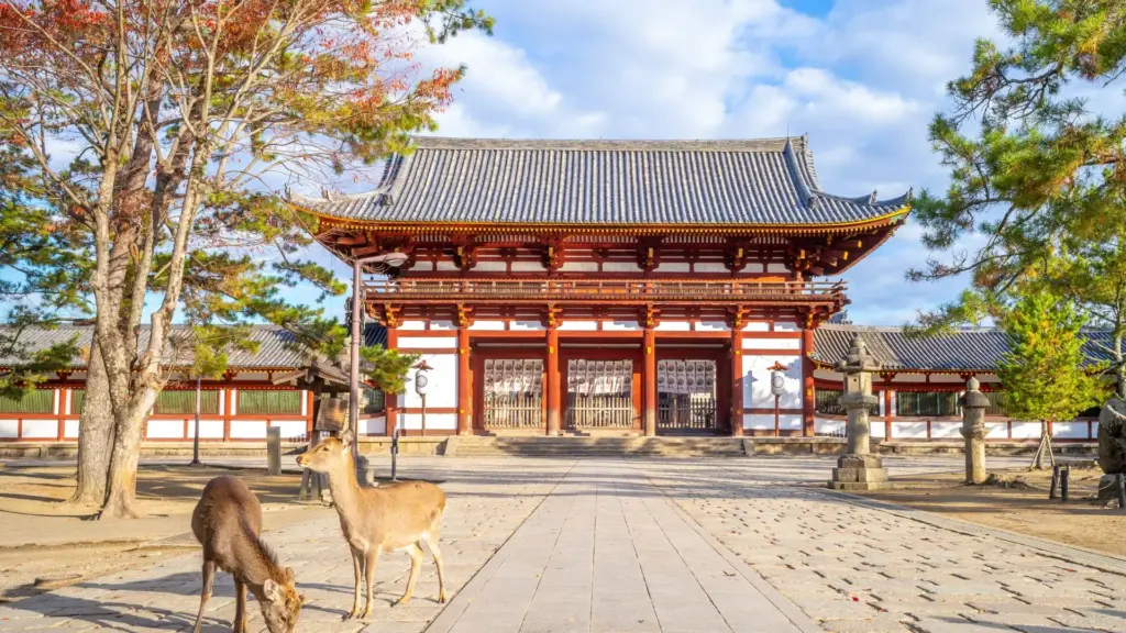 Circuit JAPONIA si COREEA DE SUD: Sub Petale de Sakura 04 Aprilie-18 Aprilie 2027
