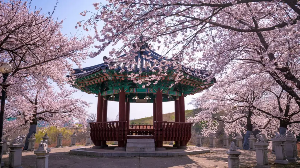 Circuit JAPONIA si COREEA DE SUD: Sub Petale de Sakura 04 Aprilie-18 Aprilie 2027
