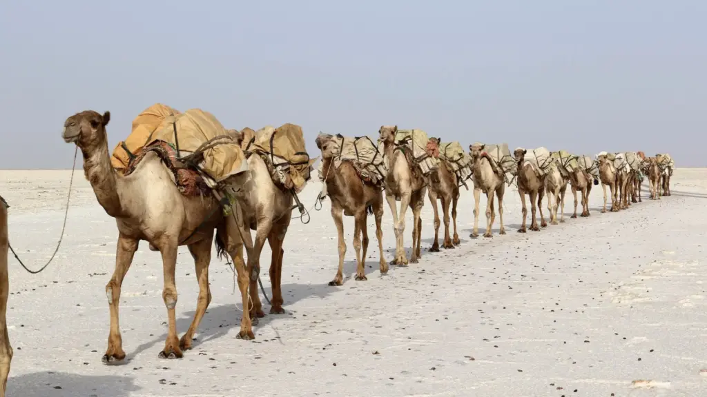 Circuit ETIOPIA: Istorie Sacra si Triburi Ancestrale 06-18 Martie 2027
