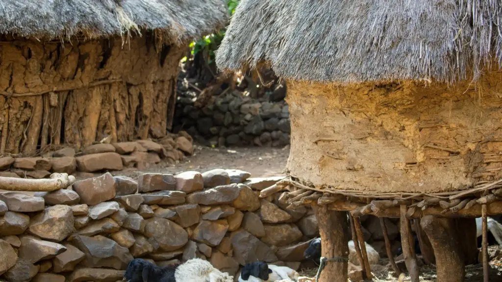 Circuit ETIOPIA: Istorie Sacra si Triburi Ancestrale 06-18 Martie 2027