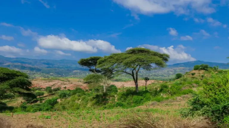 Fotografia 1 din galeria circuitului Circuit ETIOPIA: Istorie Sacra și Triburi Ancestrale