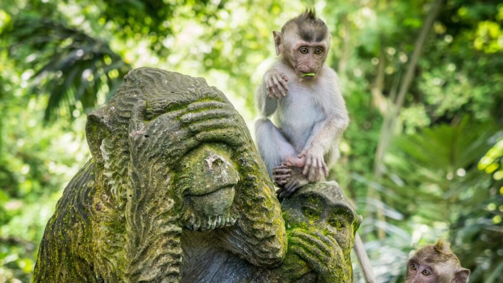Ubud