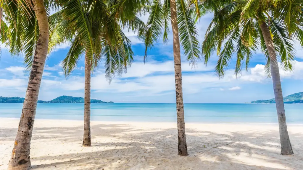Circuit Thailanda: Bangkok si Phuket 30 Ianuarie - 12 Februarie 2027