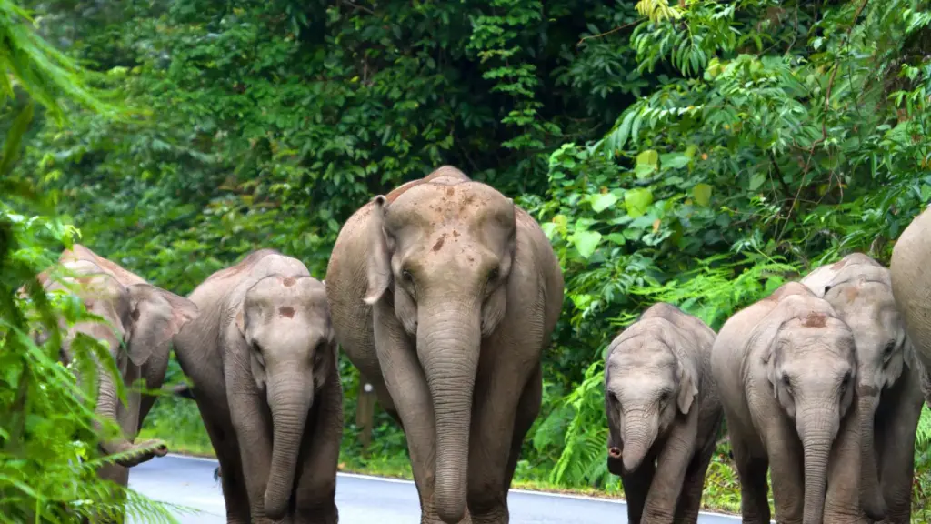 Circuit Thailanda: Bangkok si Phuket 30 Ianuarie - 12 Februarie 2027