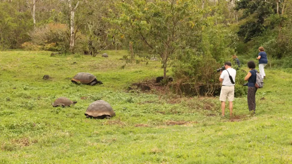 Circuit ECUADOR si GALAPAGOS: Un Paradis Vulcanic 17 -30 Ianuarie 2027