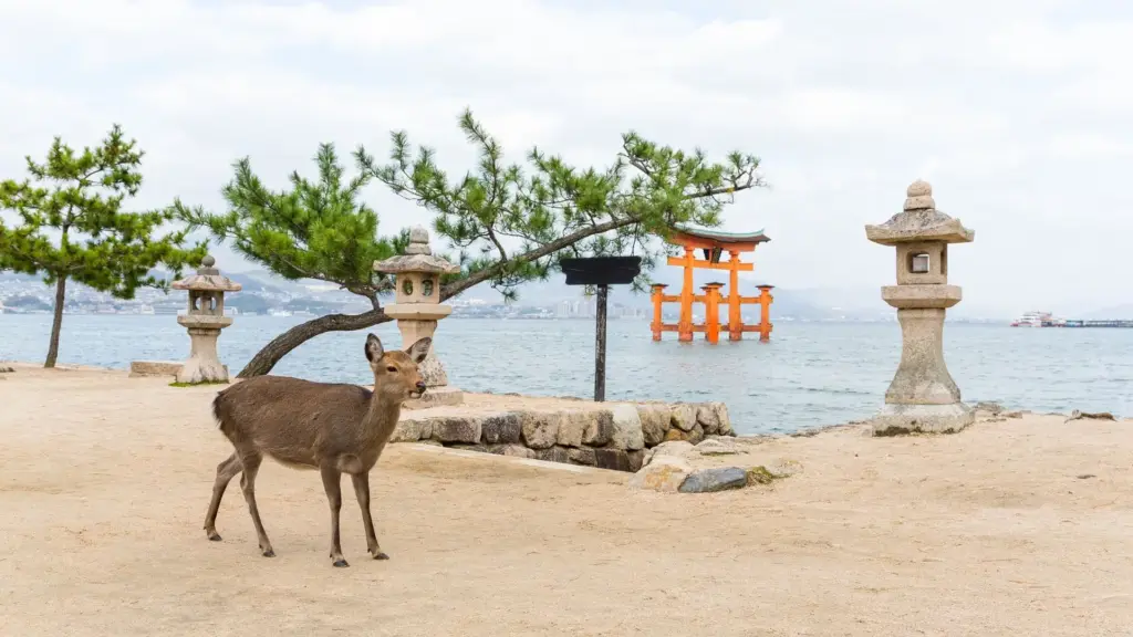 Circuit JAPONIA - COREEA DE SUD: Toamna Asiatica 30 Septembrie - 15 Octombrie 2026